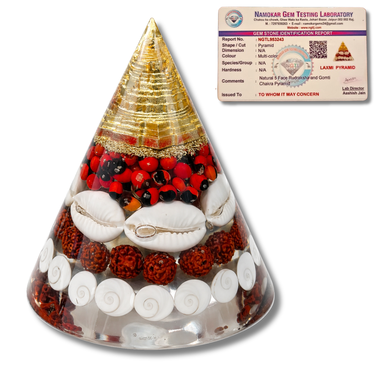Laxmi Gomati Chakra Vastu Cone