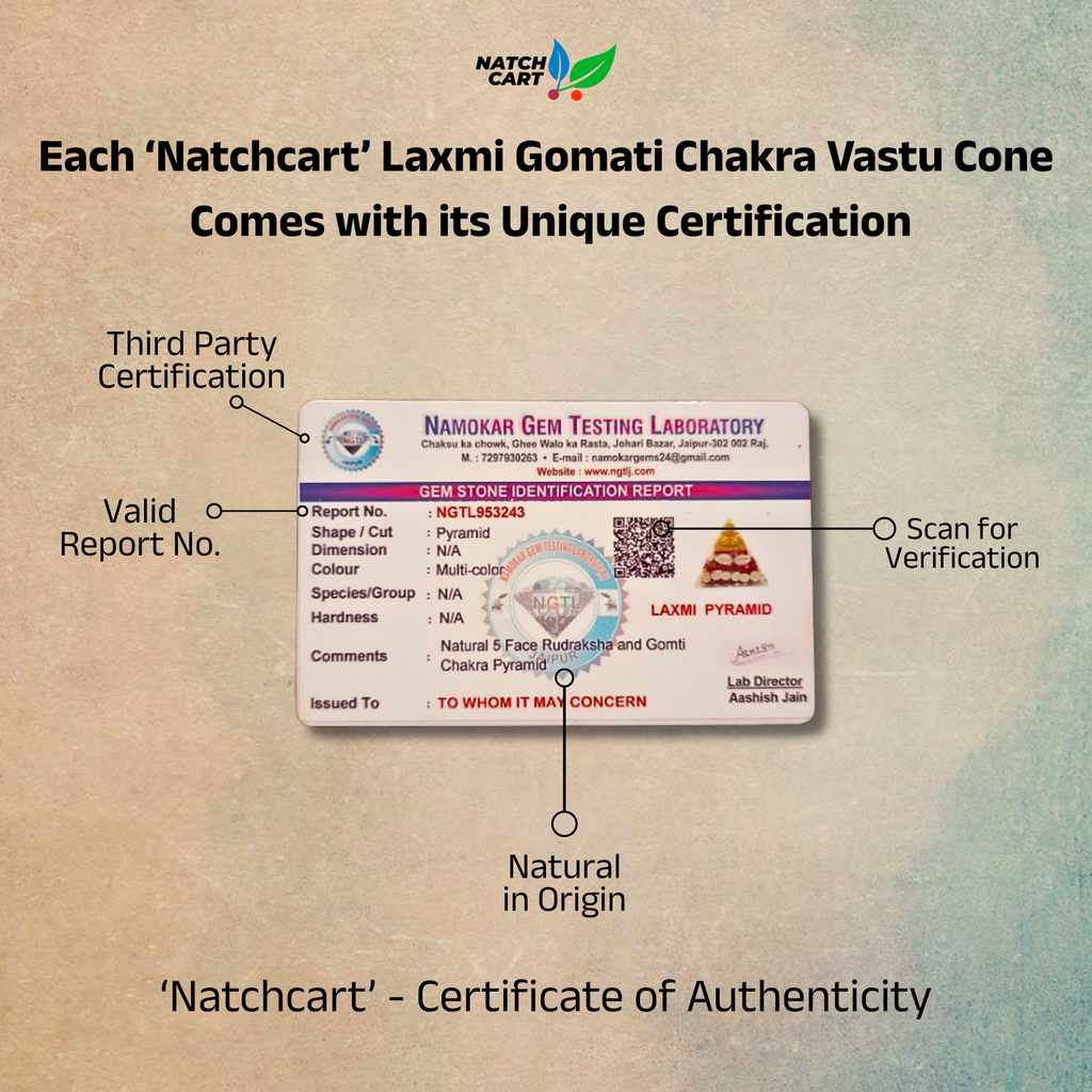 Laxmi Gomati Chakra Vastu Cone