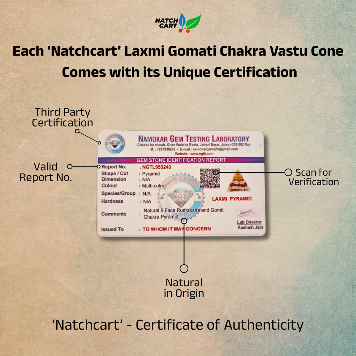 Laxmi Gomati Chakra Vastu Cone